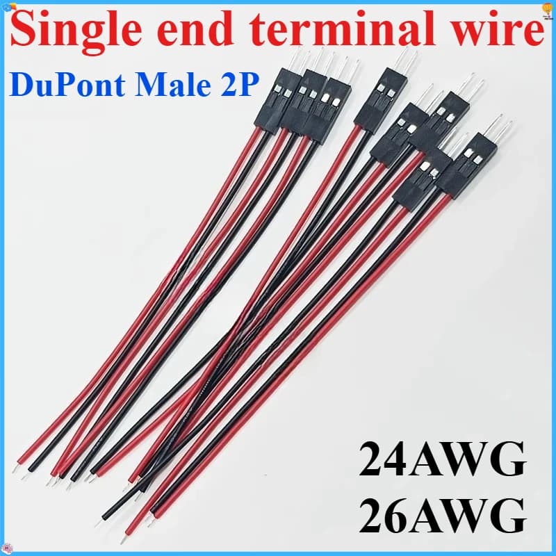 10 pz/20 pz 2pin Dupont Cavo 2P 2 Pin Maschio Jumper Connettore Filo 2.54mm Lunghezza Passo 10 CM 20 CM 30 CM Singola Testa Per stampante 3D