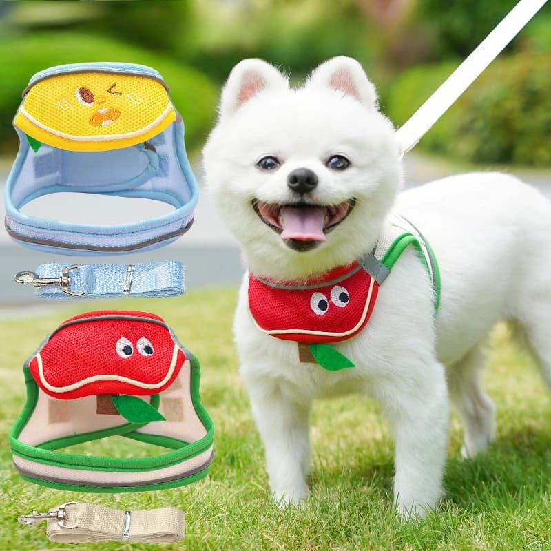 Prodotti per animali domestici per cani cartone animato asciugamano saliva fascia toracica guinzaglio gatto quattro stagioni rete traspirante teddy dell'orso