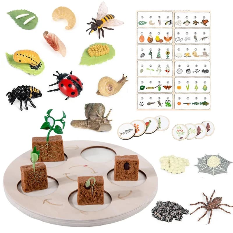 Giocattolo educativo Montessori cognizione animale ciclo di vita bordo vassoio crescita figure smistamento ciclo di vita sussidi didattici regalo per bambini