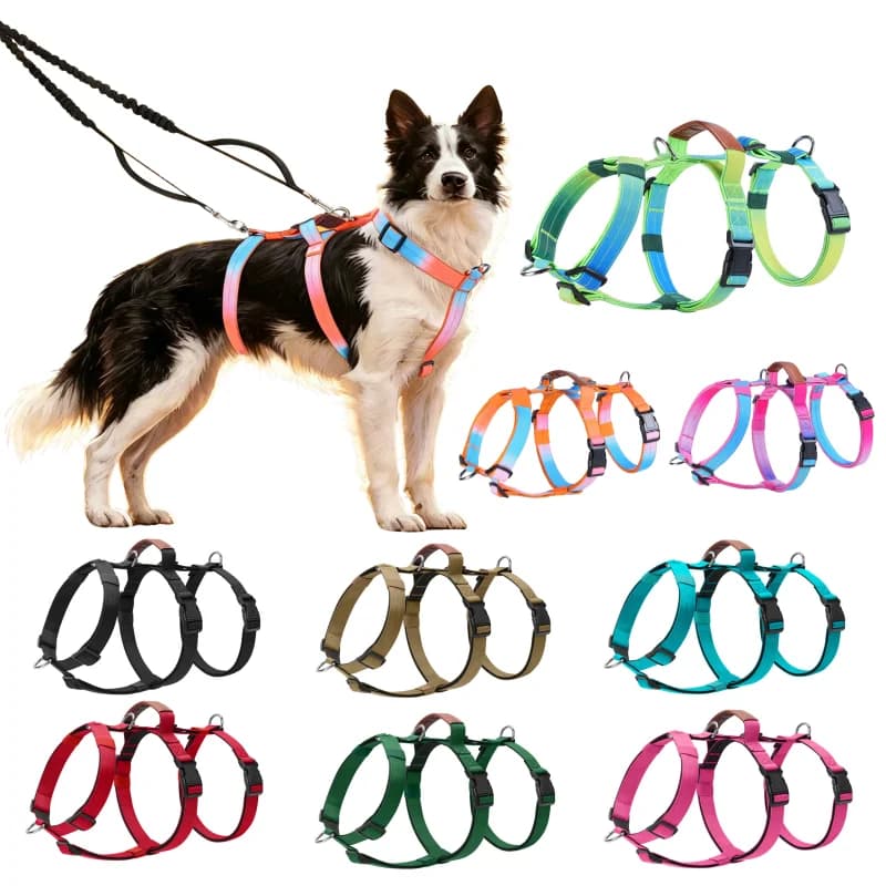 Outdoor No-Pull Dog Harness for Large Dogs Escaspe-Proof Vest Dog Harness Collars Nylon Big Dog Chest Strap Training Supplies