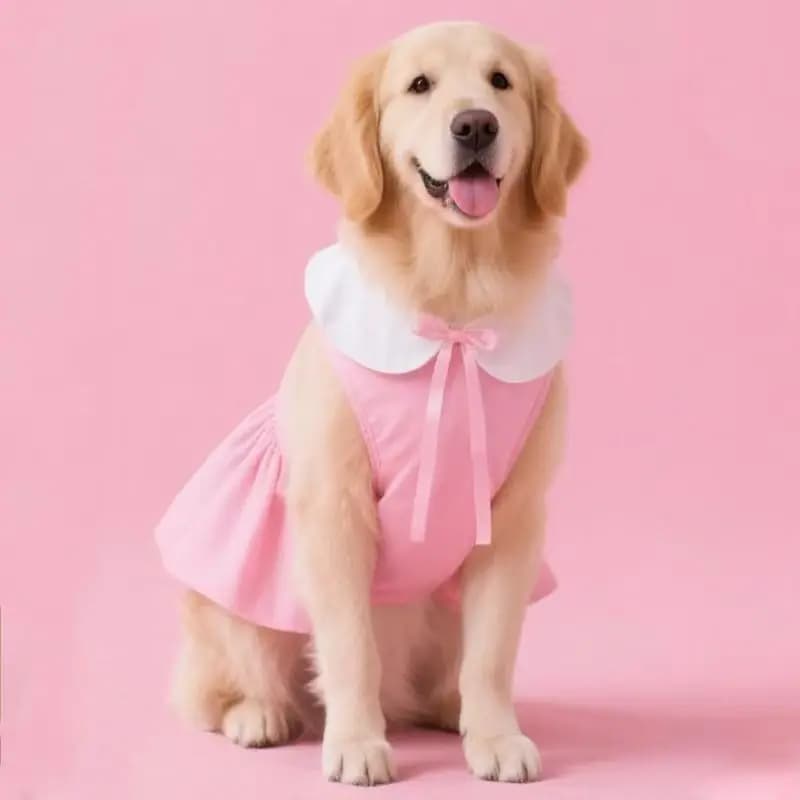 Summer Pet Dog Clothes Dress Poodle Schnauzer Border Collie Samoyed Husky Labrador Golden Retriever Big Large Dog Clothing Skirt