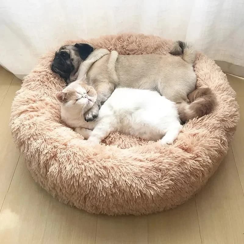 Cuccia per Cani e Gatti, Cuccia Rotonda in Peluche, Letto per Cani, Tappetino Invernale per Cani, Cuccia per Animali Domestici, Articoli per Animali