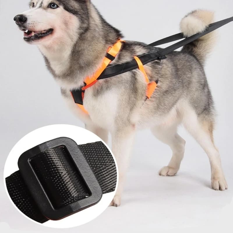 Imbracatura per cani da slitta Imbracatura con cinghia regolabile per esercizi con slitta
