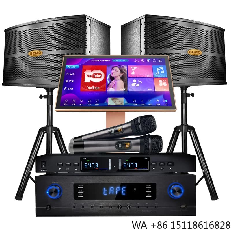 Factory Price Home KTV Karaoke Machine 2TB 10-Inch Speakers 2 Wireless Microphones Music Player 550W Amplifier 26 Languages