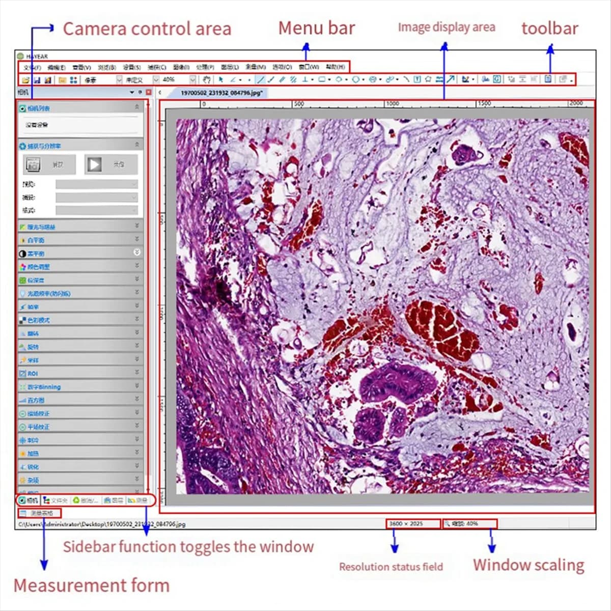A04I HD 4K 8 milioni di pixel Fotocamera per microscopio IMX 317 CMOS USB2.0 Oculare elettronico Driver gratuito per microscopio