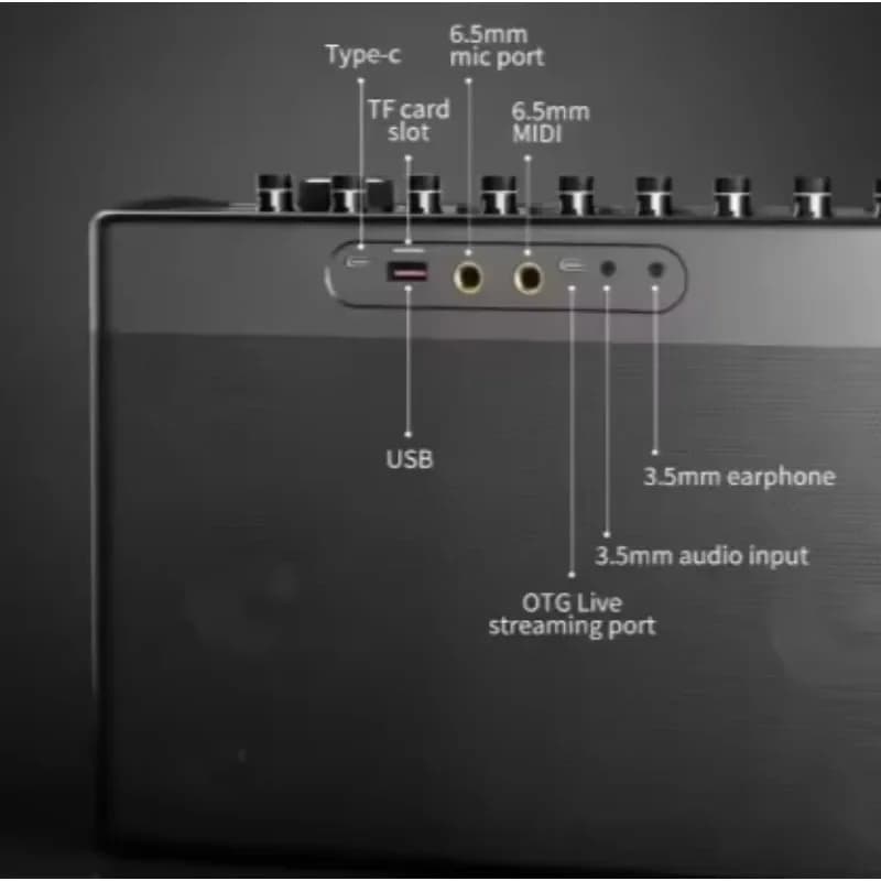 S1127 PLUS 300W Karaoke Machine Outdoor Portable Speaker With 2 Wireless Microphones Supports AUX MIC OTG Live for Party