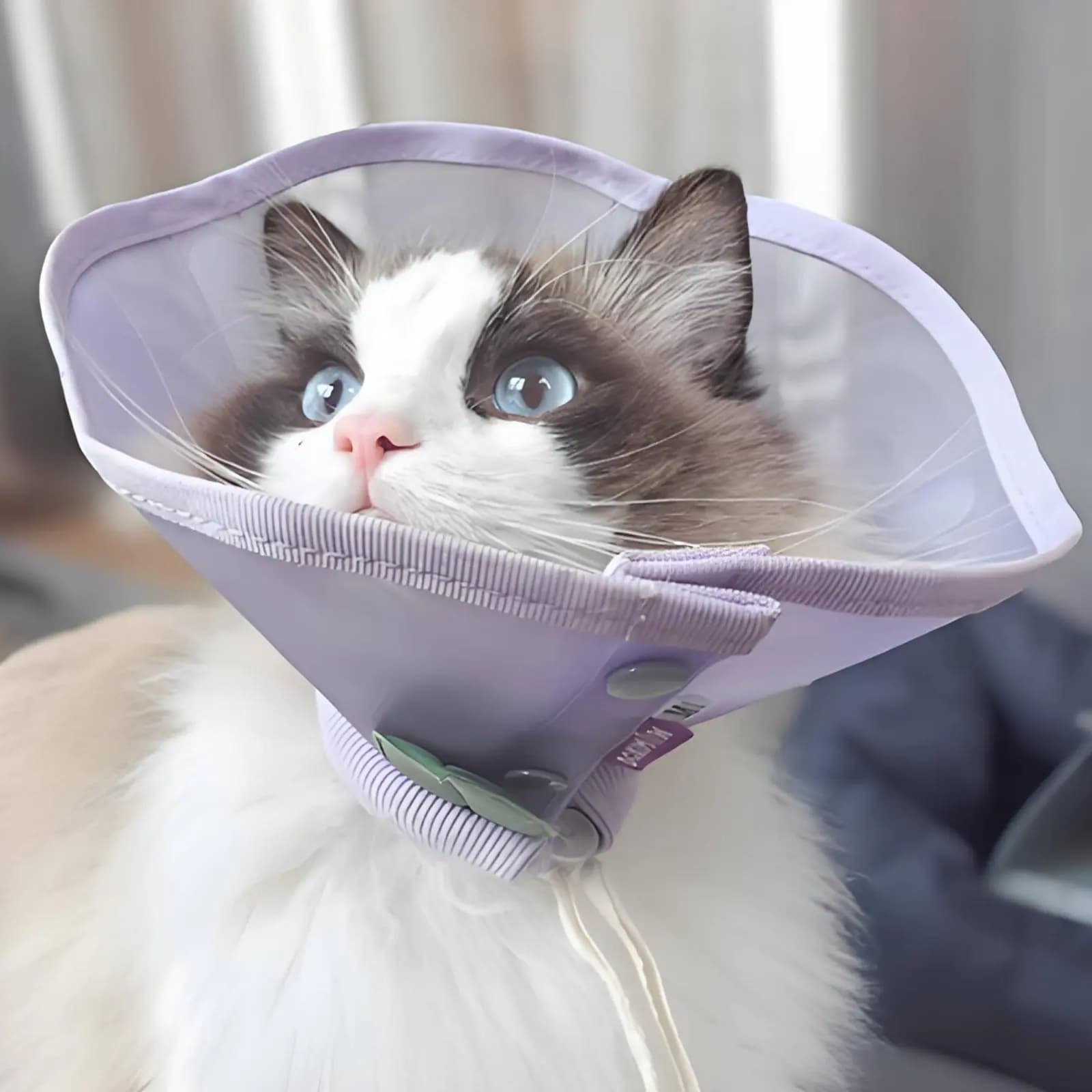Elizabethan Collar Anti-Lick Breathable E-Collar Adjustable Pet Cone Easy to Clean for Dogs, Post-Surgery