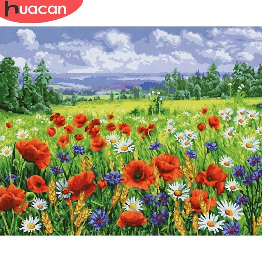 HUACAN pittura a olio per numero fiore papavero arte della parete regalo unico cornice fai da te immagine per numero Daisy tela acrilica per soggiorno