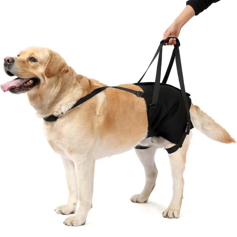 Pet Dog Hind Leg Assistance, Elderly Disabled Dog Walking Rehabilitation Assistance, Dog Traction Rope Harness Dogs Accessories