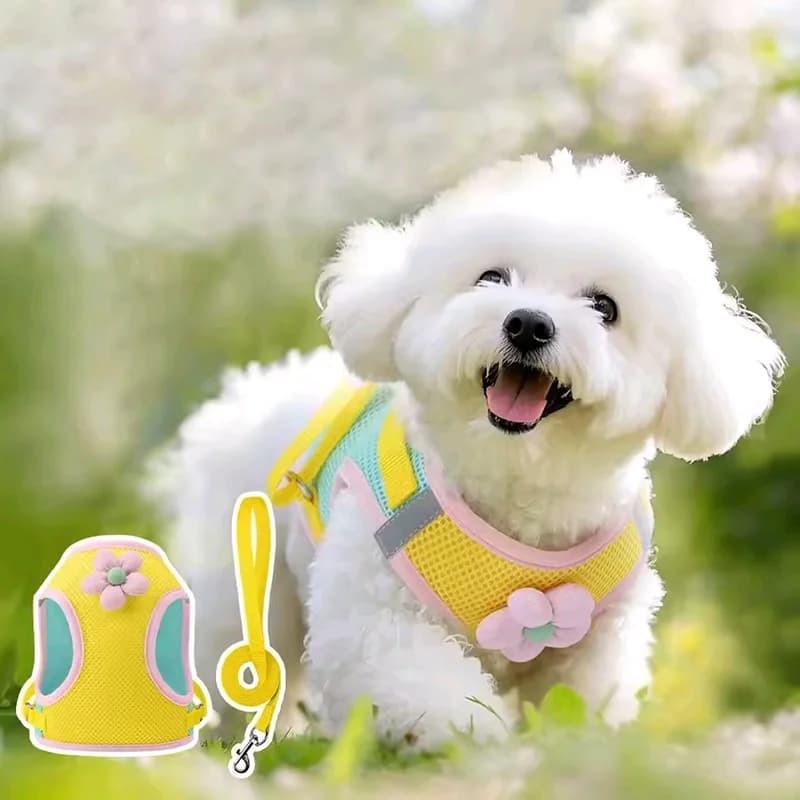 Set di imbracatura e guinzaglio riflettenti per cani e cuccioli per cani e gatti Imbracatura per gilet per cani senza tirare con cinghie pettorali in rete traspirante