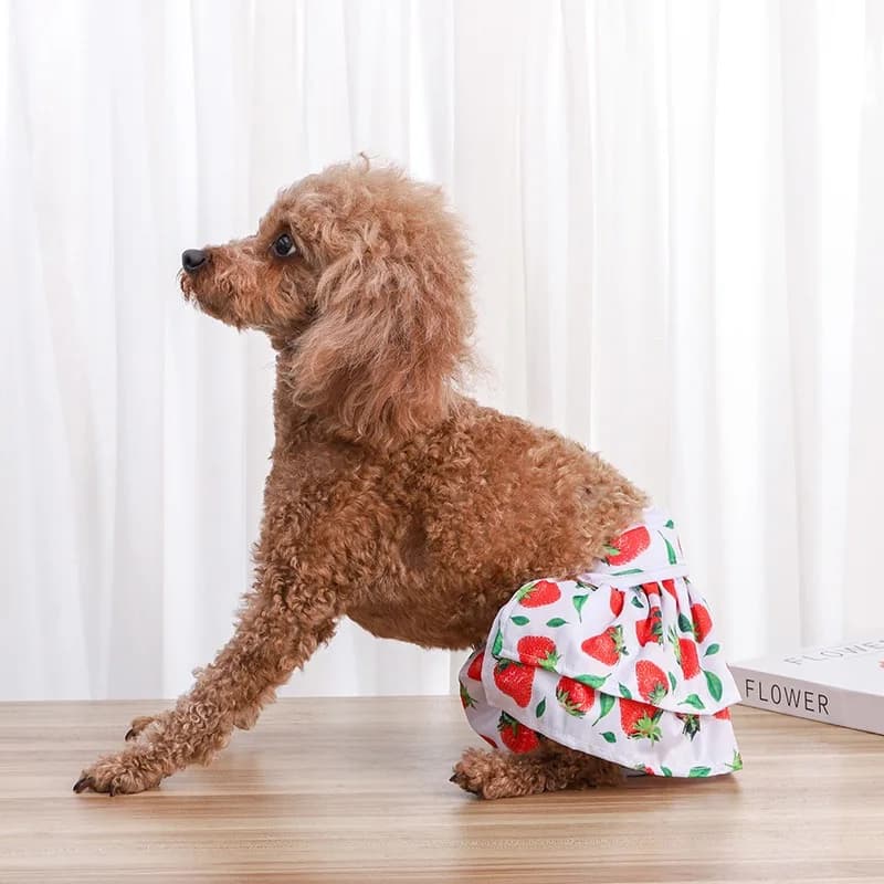 Intimo impermeabile per cani femminili in poliestere, pantaloni fisiologici traspiranti per cuccioli di piccola taglia, cinturino in velcro, vestito lavabile per chihuahua