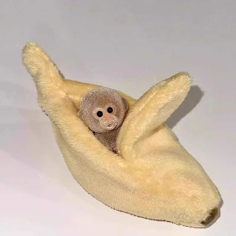 Peluche Scimmietta con Banana, Morbido e Dolce, Giocattolo Kawaii Rilassante, Decorazione Adorabile, Regalo per Ragazze Adolescenti