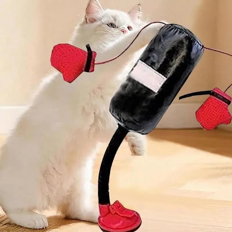 Sacco da boxe per gatti Giocattolo Boxe Punzonatura Sacco per gatti Giocattolo Gioco interattivo Sacchi di sabbia Playset con guanti Sollievo dallo stress Erba gatta Sport