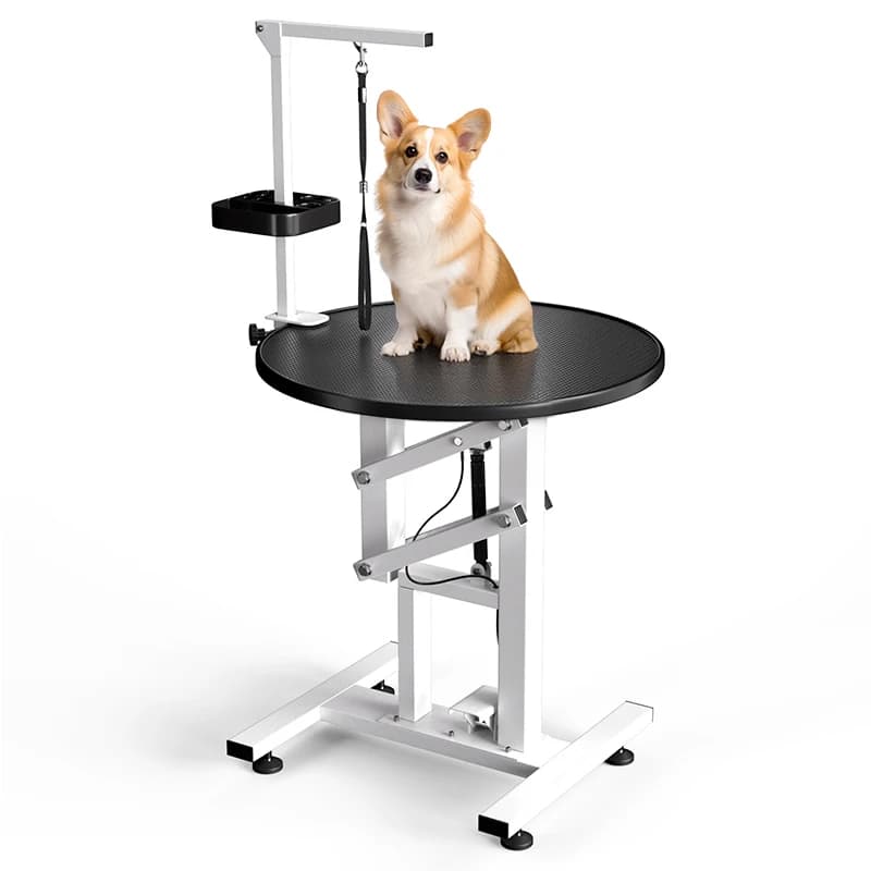 Tavolo da Toelettatura per Animali Domestici Stile Semplice con Sollevamento Pneumatico, per Cani e Gatti, Piano in Gomma Resistente, Tavolo con Sollevamento Pneumatico per Gatti