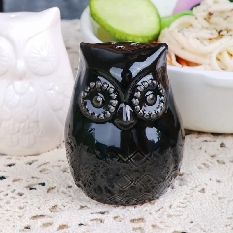 Set di sale e pepe in ceramica con gufo fatto a mano, unico, rustico, affascinante, per la cucina e la casa, idea regalo per la tavola
