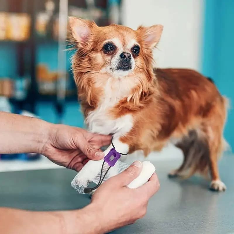 M5TC 5 pezzi laccio emostatico per animali professionale laccio emostatico per animali bende per traumi emergenza