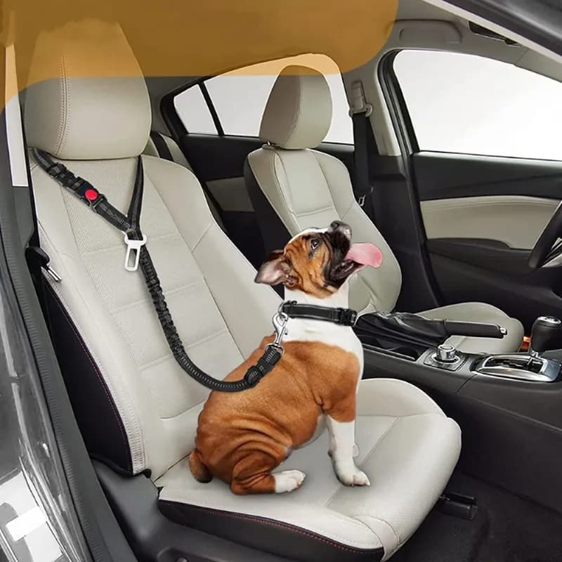 Multifunctional fixed dog safety belt Anti-bite pet supplies car elastic traction rope