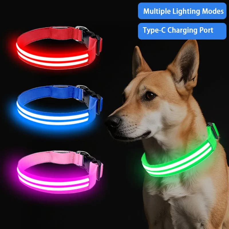 Collare luminoso per cani per passeggiate notturne, collare di sicurezza per animali domestici con LED colorati, collare ricaricabile per cani con anello per guinzaglio e pettorina.