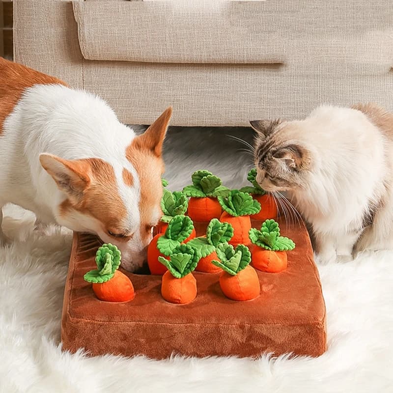 Giocattolo di peluche di carota per cani Giocattoli interattivi per cani Giocattoli di puzzle di peluche 2 in 1 Giochi di mangime per naso antiscivolo per masticatori aggressivi Animali domestici