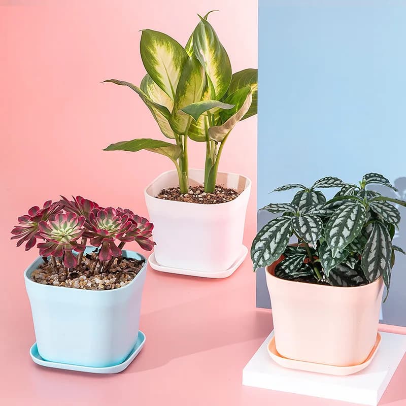 5~20 pieces small flower pot square plastic plant oily flower nursery pot from flowers semi storage jar garden decoration