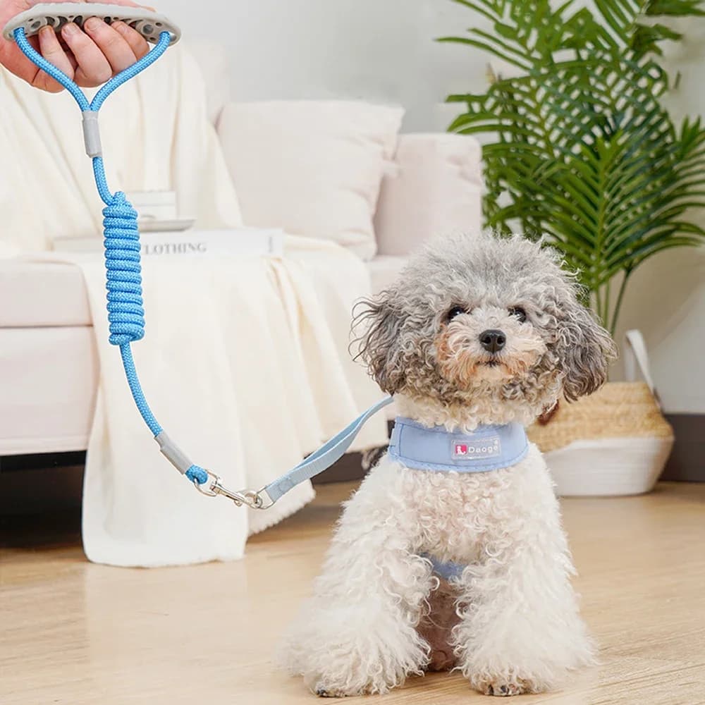 1 Set Imbracatura per cani senza tirare in rete traspirante + Guinzaglio Guinzaglio per gilet regolabile a prova di fuga per cani di piccola taglia media Camminata all'aperto