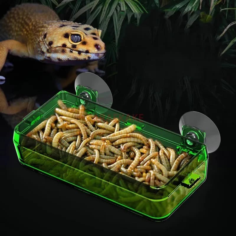 Pet Reptile Transparent Feeder Anti escape Food Bowl Worm Live Bowl With Strong Suction Cups Pet Supplies