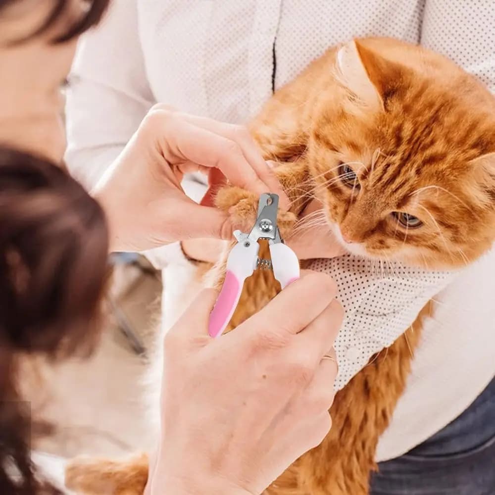 Sacca Professionale Traspirante in Rete per il Bagno dei Gatti, Anti-graffio, Regolabile, Multiuso per la Toelettatura e la Cura degli Animali Domestici