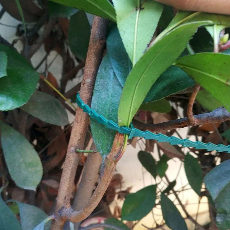 Fascette per cavi per piante in plastica regolabili da 13 cm, riutilizzabili, per arrampicata su alberi da giardino, supporto per vite, pomodoro, clip per stelo