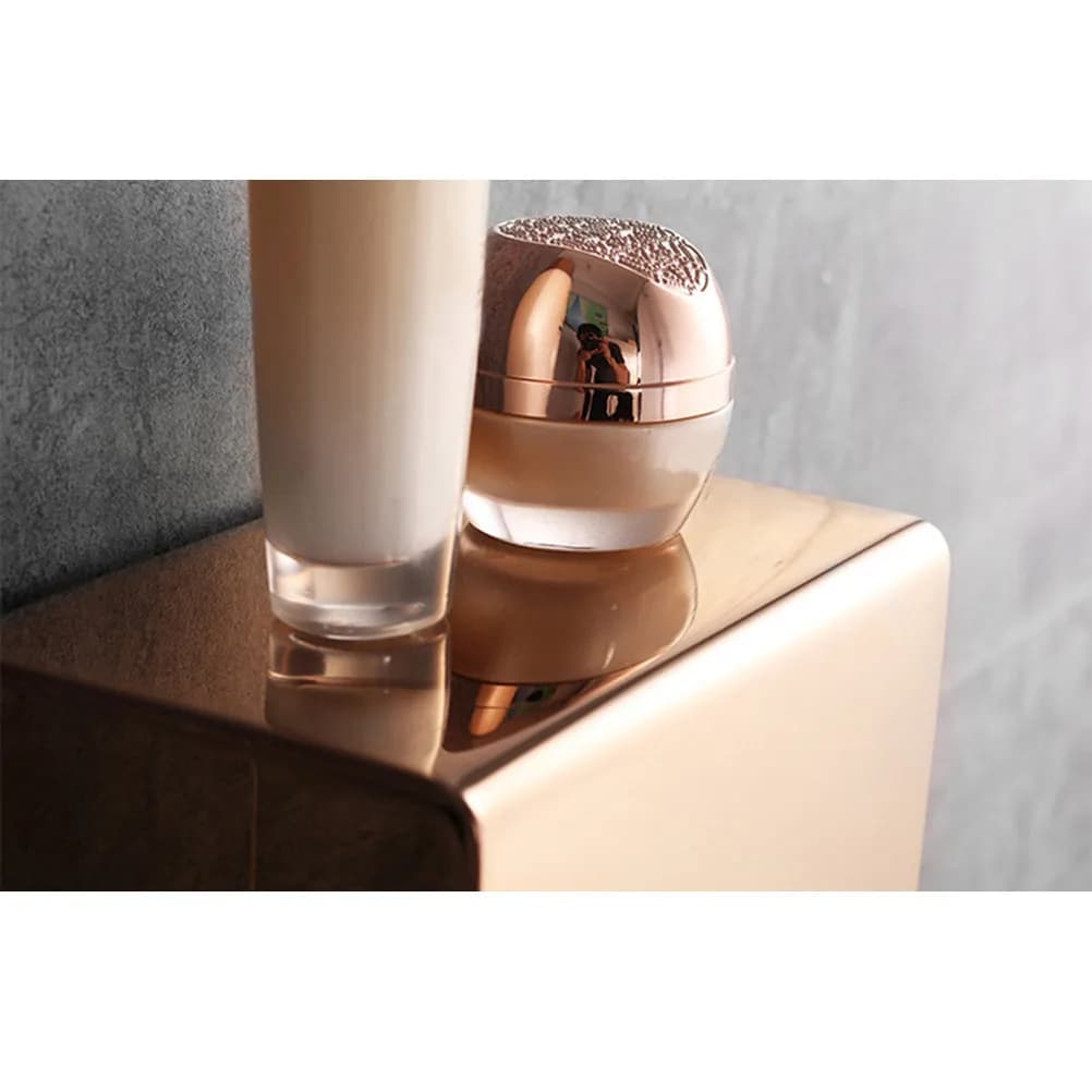 Stainless Steel Toilet Paper Box Holder Rose Gold Wall Mount Double Tissue Paper Towel Roll Holder Bathroom Organizer