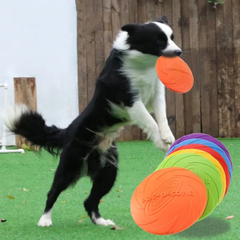 Silicone Flying Disc Funny Toy for Dogs and Cats Dog Game Flying Discs Chewing Resistant Puppy Training Interactive supplies for pets
