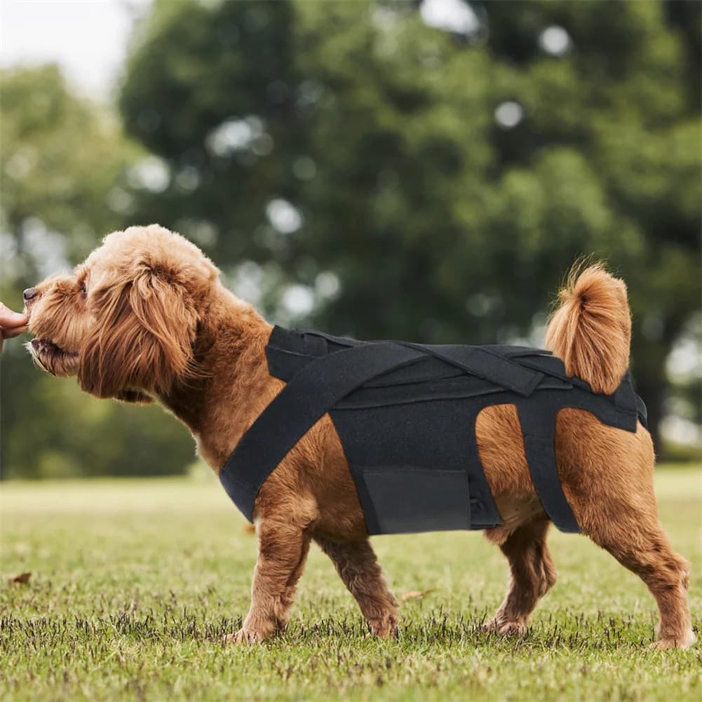 Supporto per la schiena per cani ABVT-Dog per IVDD, imbracatura completa confortevole per cani, protezione per la schiena del cane.