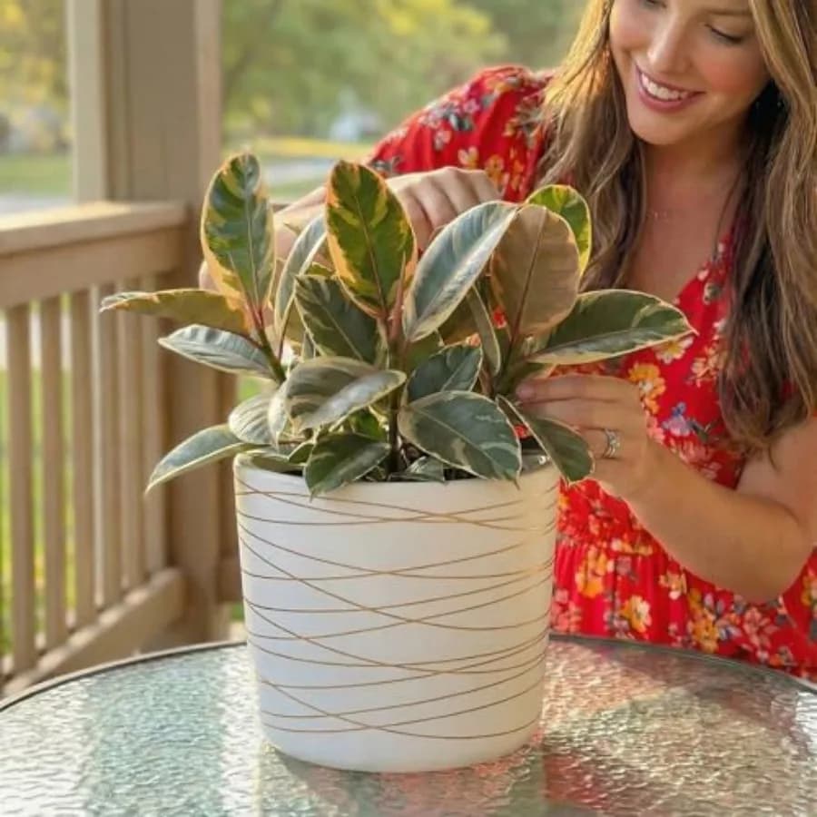 Vaso per Piante in Ceramica - Opaco con Strisce Dorate - Tappo di Drenaggio Incluso