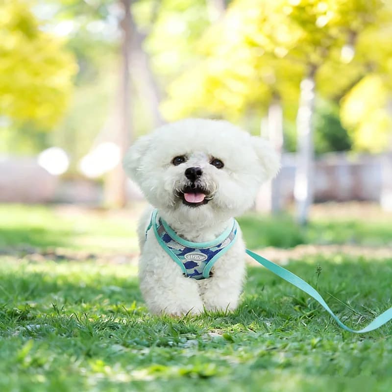 3 Pcs Pet Harness and Leash Set, Reflective Adjustable Vest Type Chest Strap for Small Dogs Cats Walking Lead Rope