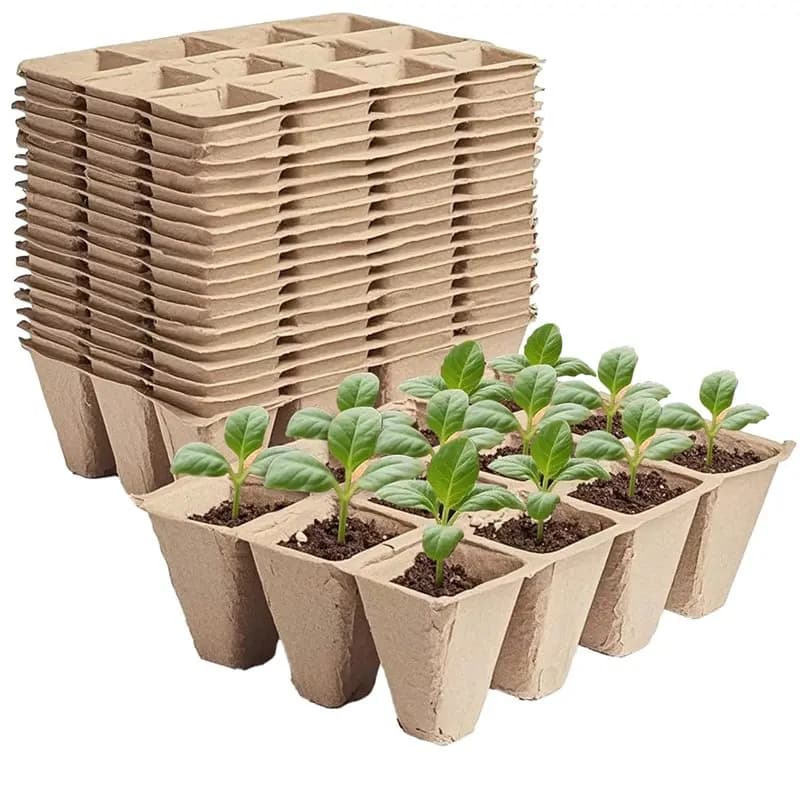 diACCATURA diKit seeds of biodegradable peat pots at 12 cells - 65 trays, seed cups suitable for roots for vegetables, flowers, herbs