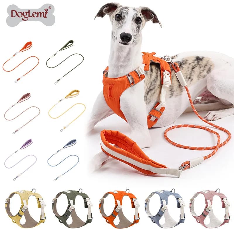 Dog leash, anti-shock dog chain, outdoor dog walking leash, detachable pet harness