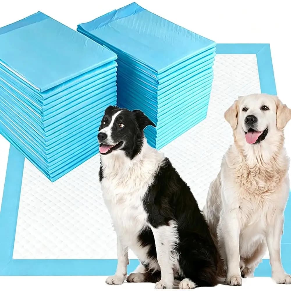 Confezione da 100 Tappetini Assorbenti XL per Addestramento Cani, 36 x 36, Alta Assorbenza, Anti-Perdita, Asciugatura Rapida per l'Addestramento alla Toilette degli Animali Domestici