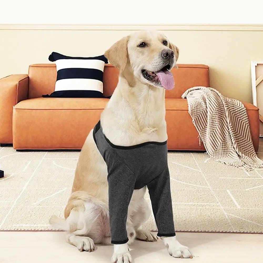 Manicotto di supporto per gamba di cane regolabile grigio Ginocchiere elastiche morbide per cani Tutore di supporto per cane anti-lamming a prova di sporco per gamba anteriore di cane