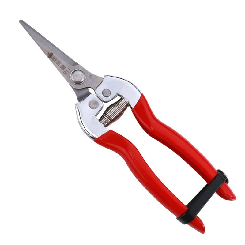 Fruit picking shears, pruning shears, scissors for citrus and orange fruit harvesting