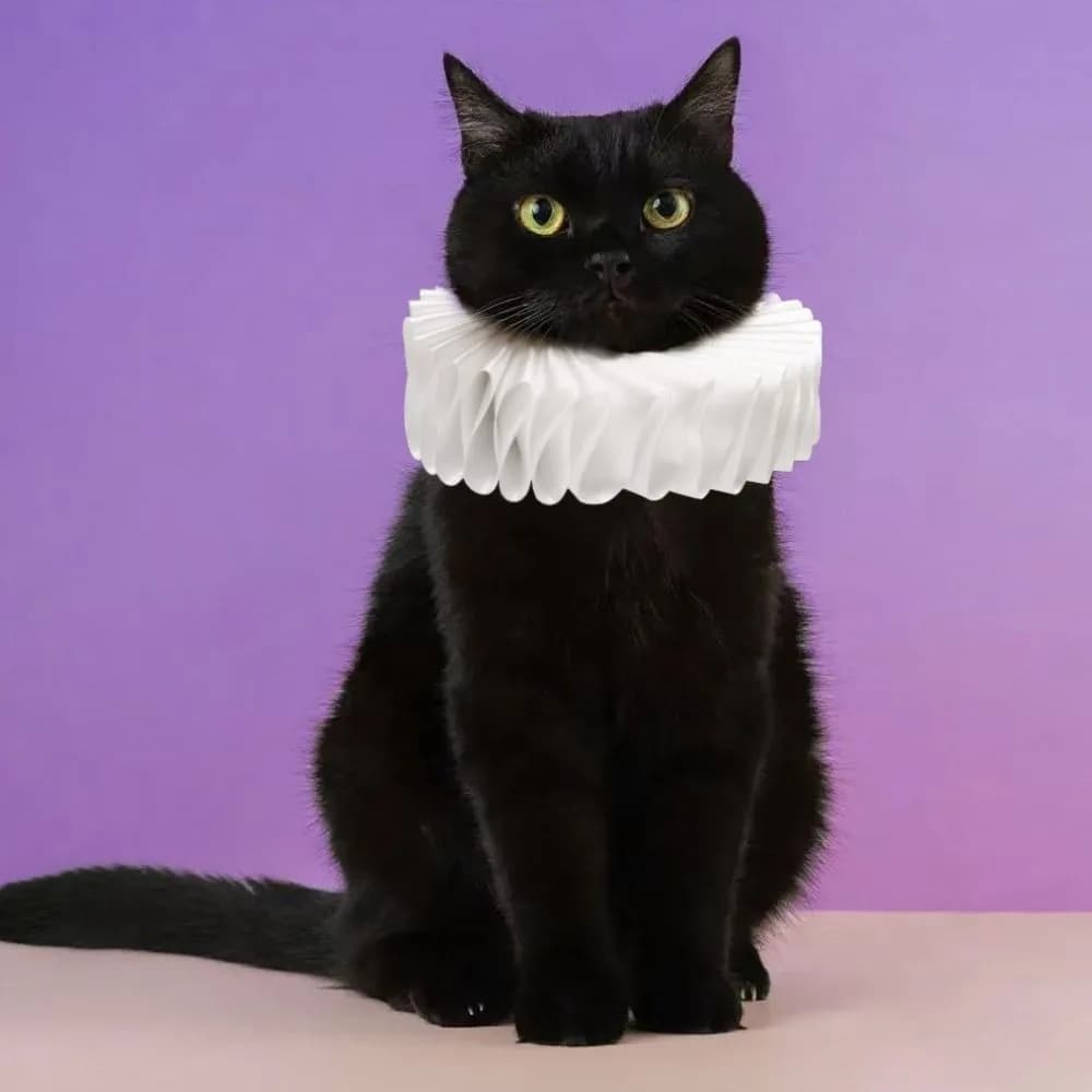 Collare per Animali Domestici Stile Vittoriano con Volant Staccabile, Elegante Collare Vintage per Gatti, Chic Collare con Volant per Cani, Cosplay