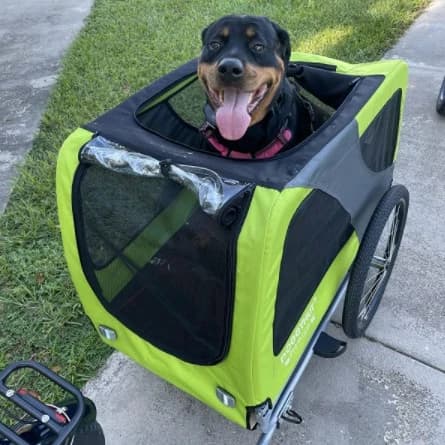 Grande passeggino e jogger per cani con rimorchio per bici da compagnia con ammortizzatori senza ribaltamento. Verde/Giallo