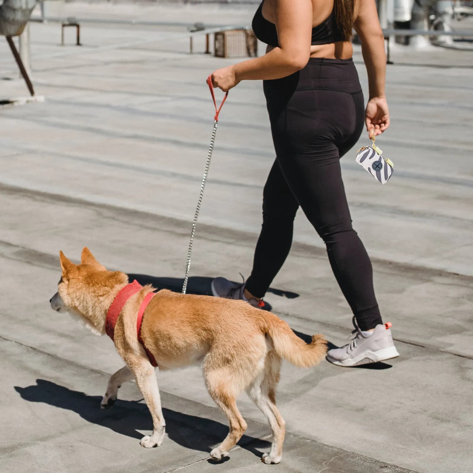 Porta Sacchetti per Escrementi di Cani, Dispenser Portatile con Chiusura a Scatto, Attaccabile a Guinzaglio, Zaino, Borsa, Leggero