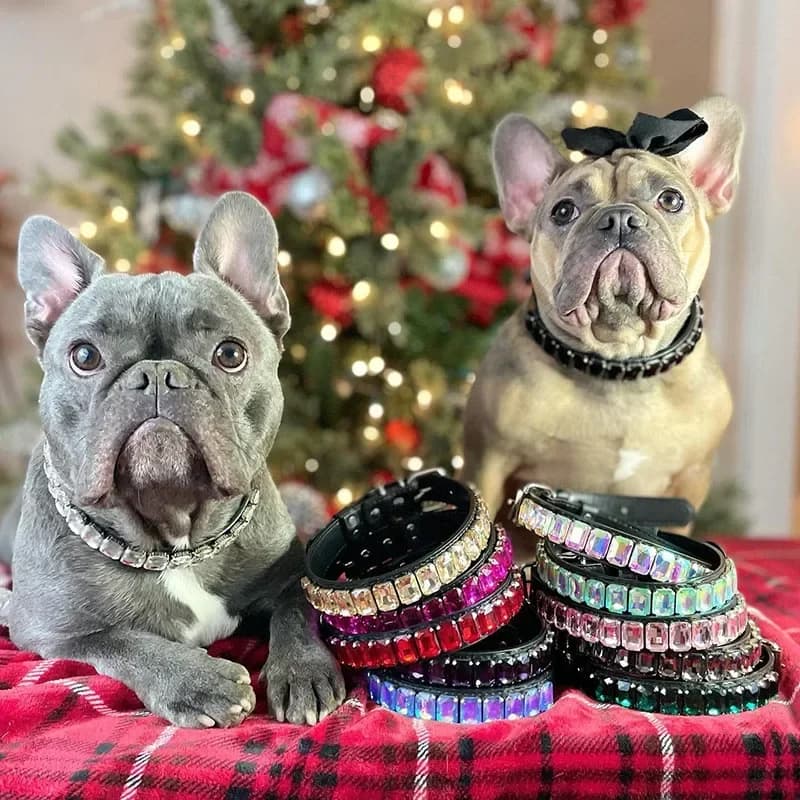 Collana per cani con strass alla moda, in pelle PU, con diamanti in cristallo, collare per cuccioli, collari per cani, forniture per animali domestici, accessori per cani