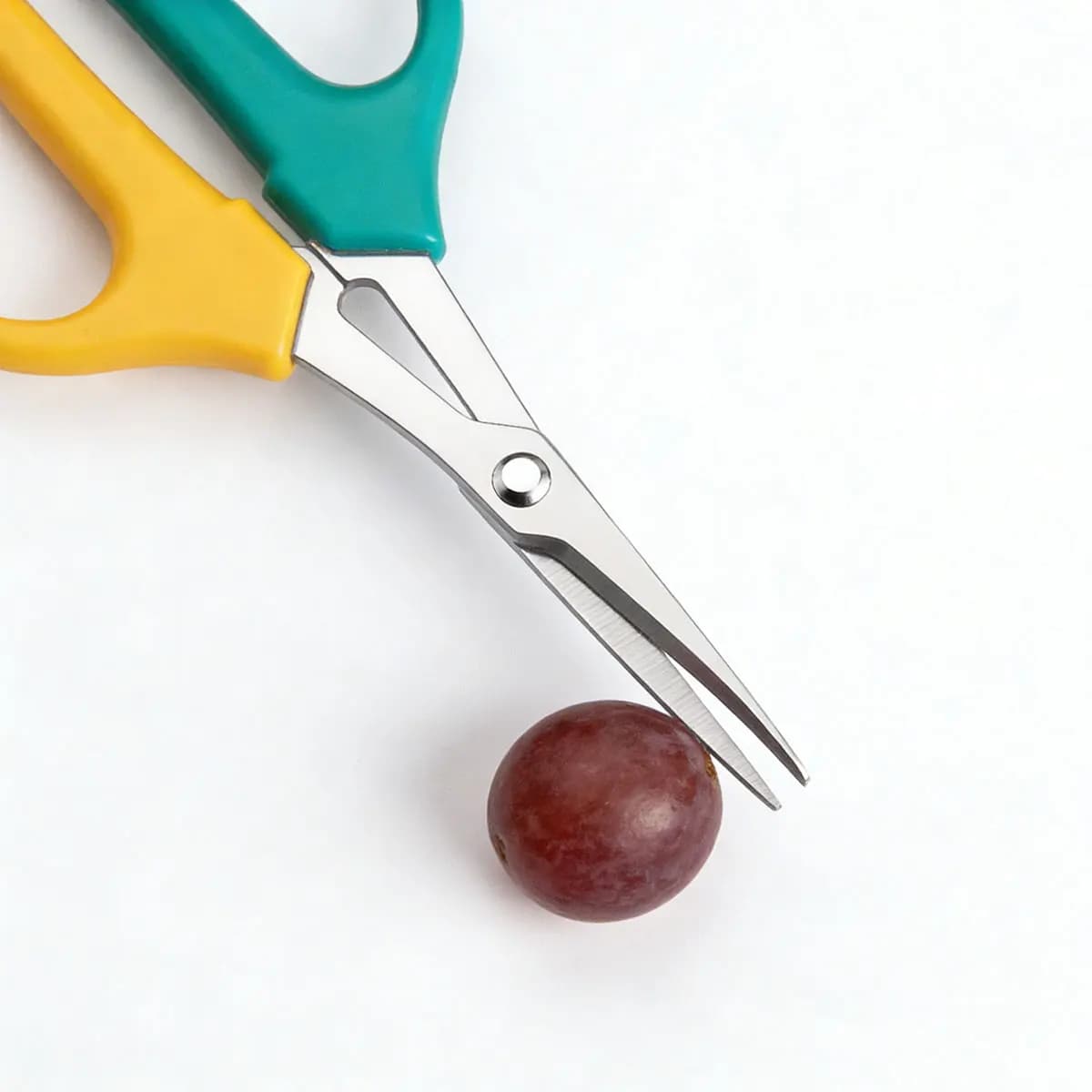 Multipurpose Power Scissors - Curve Blades for Faces, Potential Flowers and Collection, Professional Gardening Tools