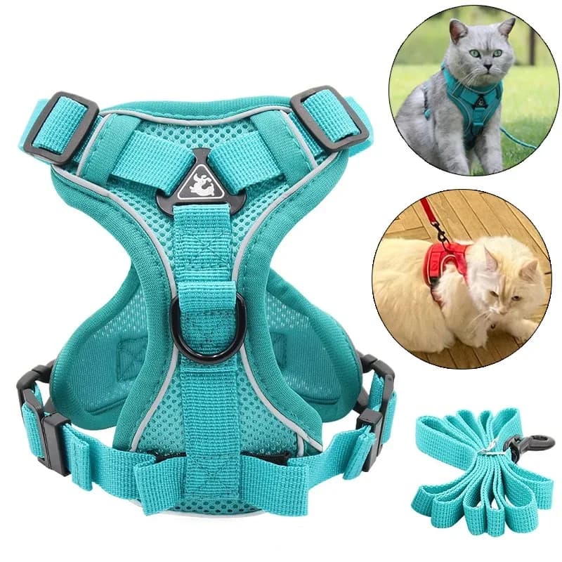 Set di Imbracatura e Guinzaglio Riflettente alla Moda per Gatti, Imbracature Traspiranti in Rete per Cani Piccoli, Gatti e Gattini, Accessori per Gatti