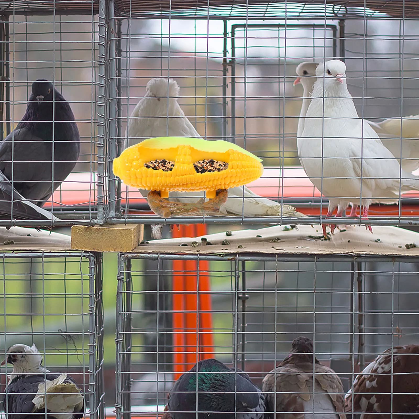 1 Pezzo Ciotola per Pappagalli dalla Forma Unica e Adorabile, Contenitore Igienico in Plastica per Alimenti per Pappagalli, Agaporni e Cacatua