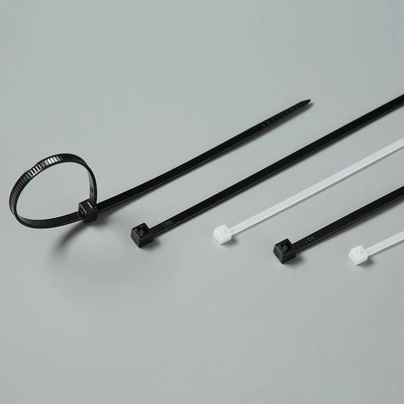 Fascette stringicavo in nylon autobloccanti 3*100/120/150/200 4*150/200/250/300, anelli di fissaggio, fascette in nylon