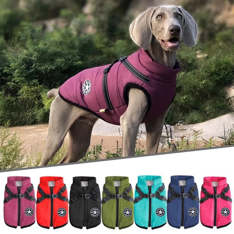 Vestiti invernali impermeabili per cani con imbracatura Giacca calda in cotone per cani da compagnia per cani di piccola taglia Abbigliamento per cuccioli Cappotto per bulldog francese