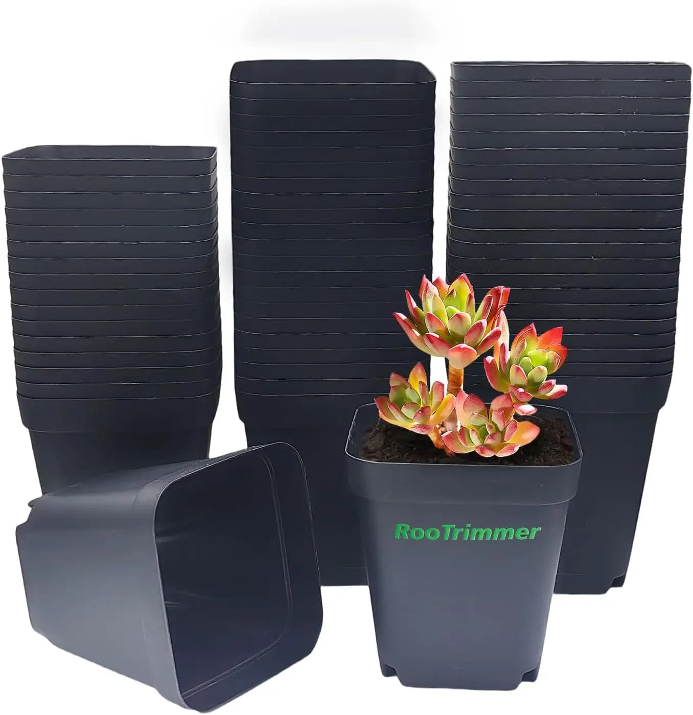 Confezione da 60 Vasi Quadrati da 4 Pollici per Piantine, in Plastica Resistente per Crescita di Piante da Interno/Esterno con Drenaggio Migliorato