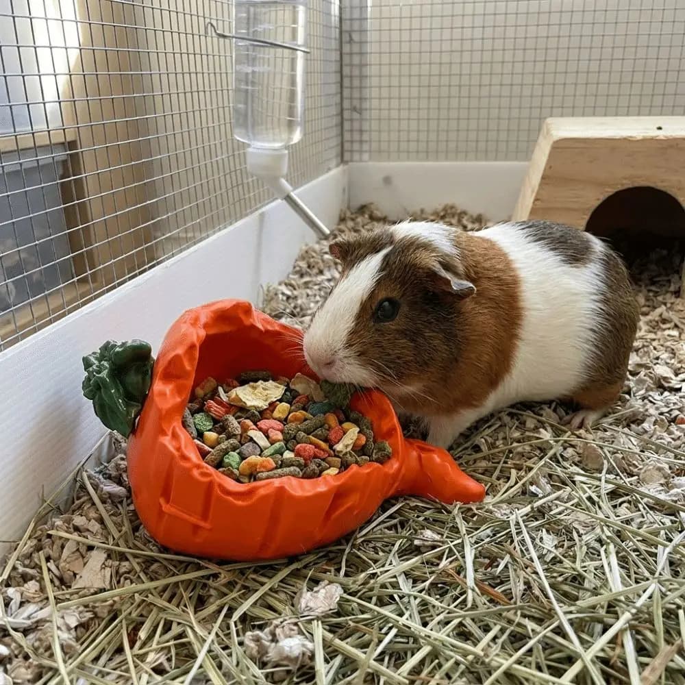 Cute 3D Printing Hamster Food Bowl Plastic Anti-Planing Guinea Pigs Drinking Bowl Carrot Shaped Small Pet Bowl Cage Accessory