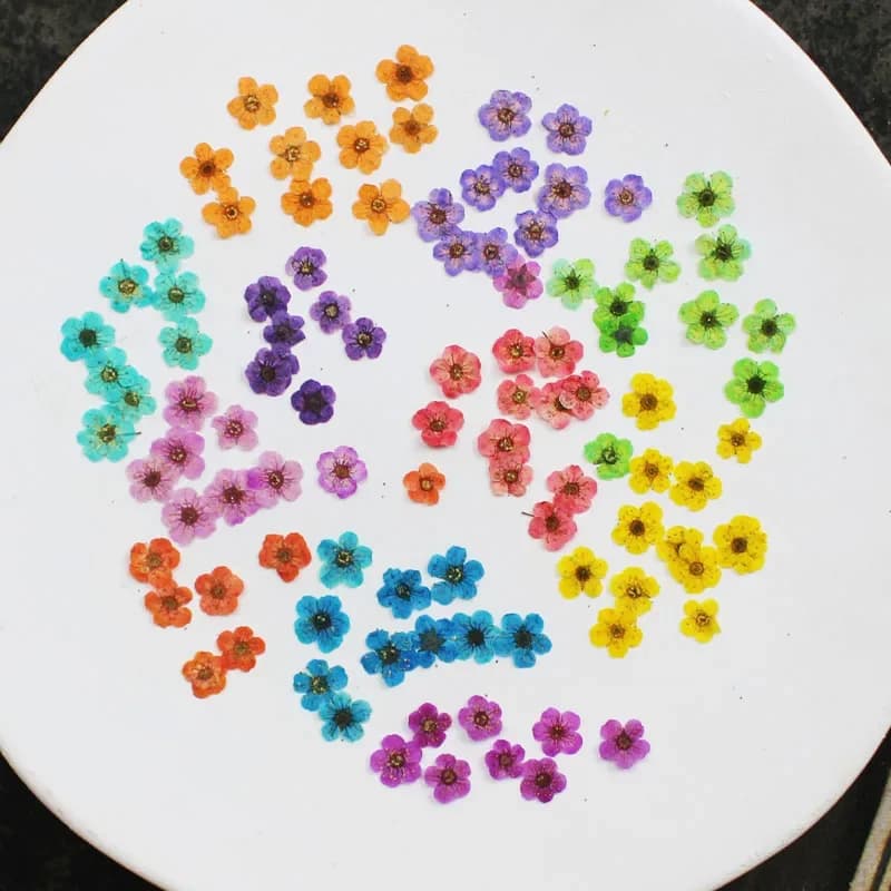 60 pz Mini pressato essiccato assorbente fiori di ciliegio fiore pianta erbario per resina epossidica gioielli segnalibro cartolina Nailart fai da te